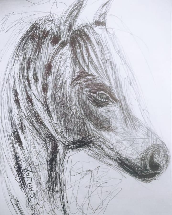 sanjay_draws's tweet photo. White horse pen sketch
.
.

#horse #artist #drawing  #penart #artoftheday #animal  #hyperrealism #art #artwork #sketch #pensketch  #Horses  #ArtistOnTwitter https://t.co/1cPdkB4UgC