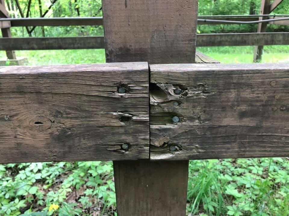 BuckeyeCoaster's tweet photo. The Beast Behind the Scenes Tour - #Coasterstock2019 at @KingsIslandPR!
This tour was so unique with the new views of the #TheBeast that we were able to capture! #Beast40 #KingsIsland #KIBeast
@DonHelbig @chadshowalter https://t.co/aPaoHKH6dR