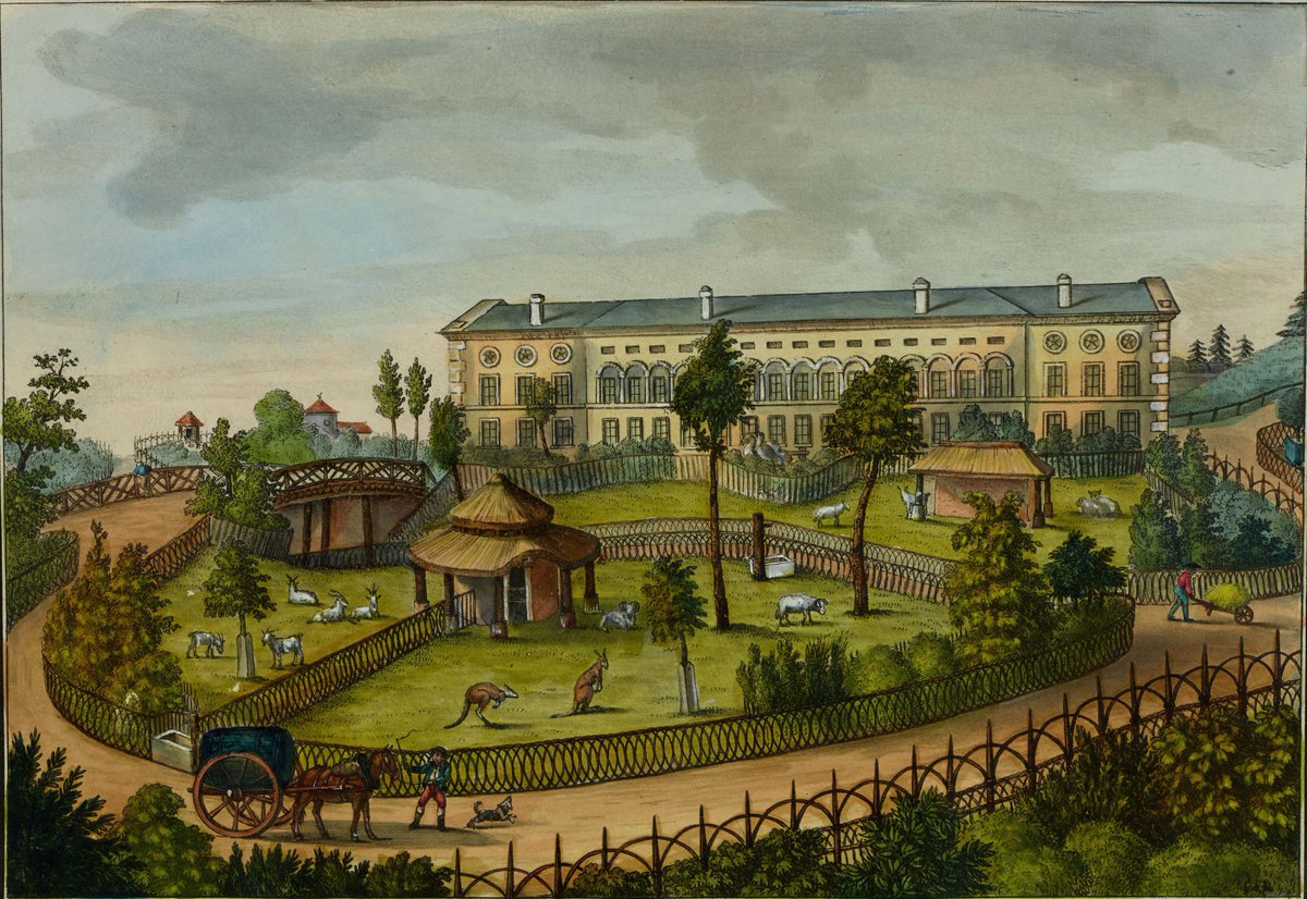 Ils ont vu la Révolution française (3/10) - Âgé de 16 ans en 1789, le botaniste Aimé Bonpland suivit les cours de Lamarck et Jussieu au Muséum d'histoire naturelle, avant de s'engager dans la Marine et d'être affecté comme chirurgien à Toulon.
<a href="/Le_Museum/">Muséum national d'Histoire naturelle</a> <a href="/PhotosHistos/">Photos Histoires</a>