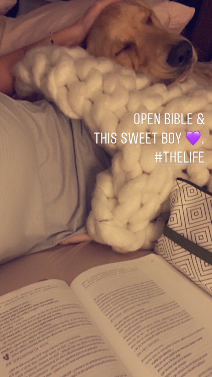 He’s not the best bible study partner but his snuggle game is solid. 💜