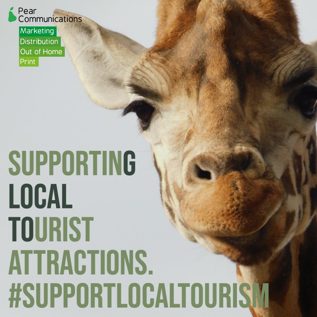 Pear Out Of Home tweet media