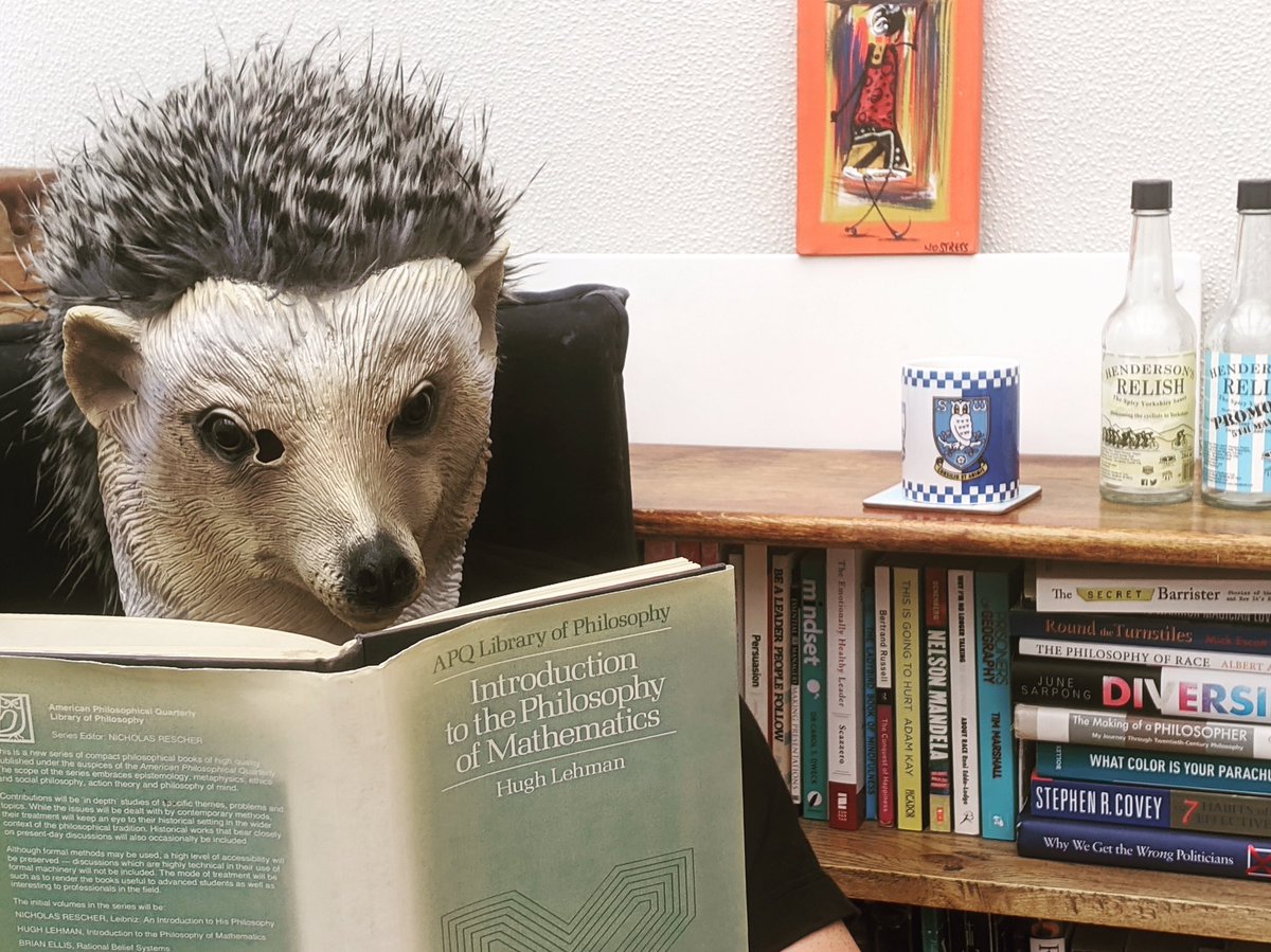 AstreaSheff_Eng's tweet photo. 🕵️♀️🕵️♂️ Who is this hedgehog reading an ‘Introduction to the Philosophy of Mathematics’? 📊🧮📖🦉⚽️⭐️Astras for guesses⭐️ #whoisreading #astreareads #books #school #homeschool #sheffield #astrea #weareastrea https://t.co/iE1UHxZkzA