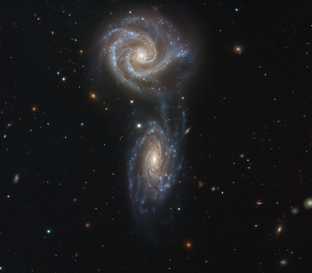 ESO_Poland's tweet photo. Na dzisiejszym Zdjęciu Tygodnia widnieje para współoddziałujących galaktyk znanych jako Arp 27. Pojedynczo galaktyki te są nazwane NGC 5426 i NGC 5427; obie są spiralne o mniej więcej tych samych rozmiarach.

Źródło: @ESO https://t.co/MXvjAR9gd6 https://t.co/sJOdpf1xi9