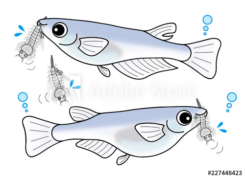 めだかのtwitterイラスト検索結果 古い順 めだかのtwitterイラスト検索結果 古い順