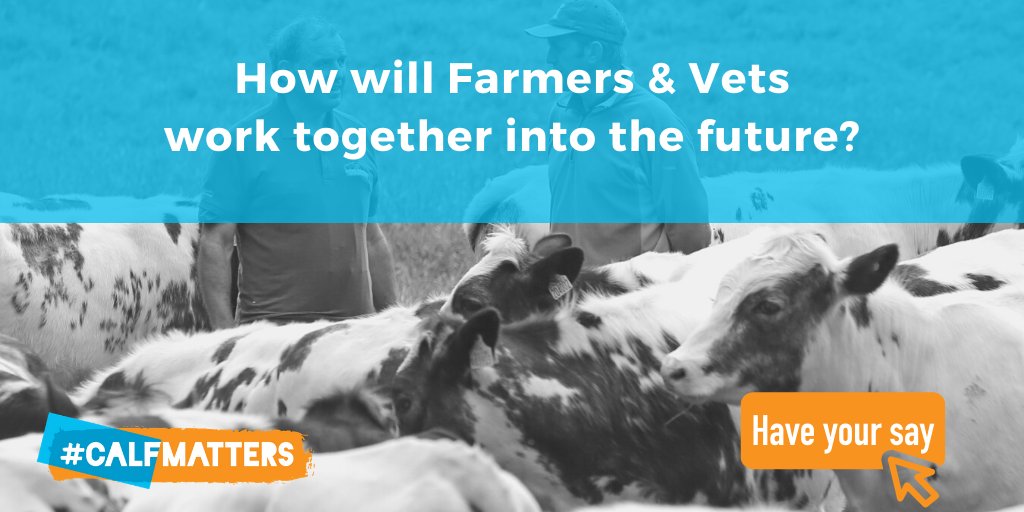 SynergyFarmVets's tweet photo. How have the pandemic control measures affected our interactions and communication with each other, now and in the future? @Boehringer_AH are launching the FarmComm study to hear your views. Please take a few minutes to share your thoughts to help shape the future. #farmcomm https://t.co/1ykj6baPpw
