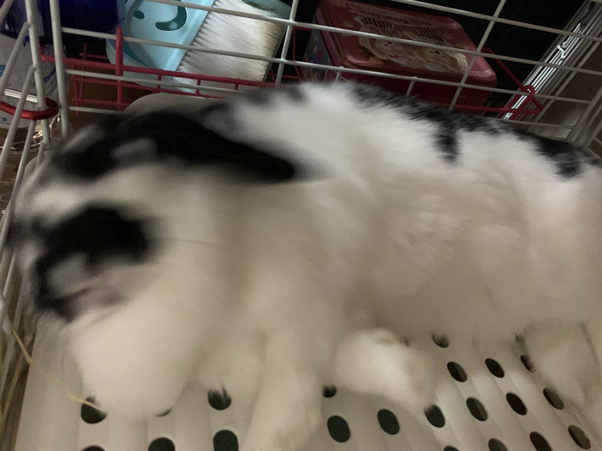 へたくそ選手権
題名
残像