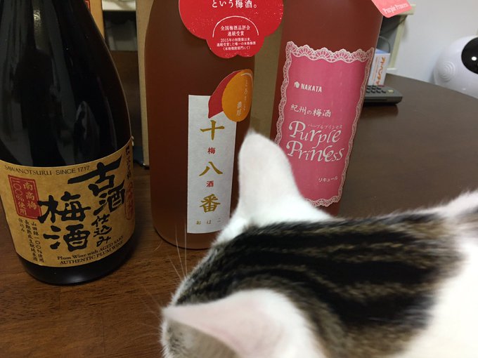 梅酒ふく袋届きました。こちらの三本。
日本酒仕込み飲んでみたかったから古酒楽しみだし、十八番は美味しいって聞いたことあるから楽しみね。 
