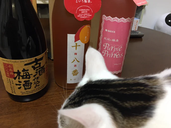 梅酒ふく袋届きました。こちらの三本。
日本酒仕込み飲んでみたかったから古酒楽しみだし、十八番は美味しいって聞いたことあるから楽しみね。 