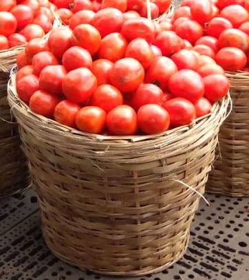 We share a basket of tomatoes <a href="/1500/">george sinclair</a> only. Strong tomatoes all thru. 
P.s.. kindly retweet. My client may be on your space