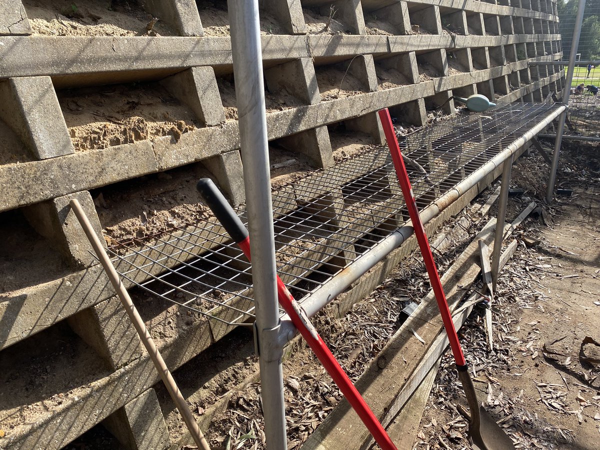 ProjReimaginate's tweet image. Today we learned how to propagate Spider plants and Aloe Vera. We also cleaned out an unused space we will use for composting as we move towards zero waste in the classroom. 

#ProjReimaginate