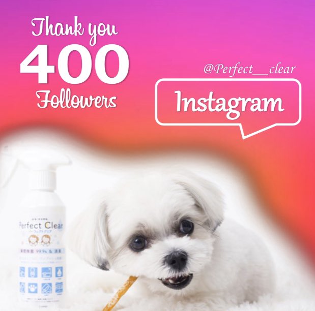 perfectclear_jp's tweet photo. ＼Thanks for your warm support ／
おかげさまで、Instagramのフォロワー400人突破🥺✨
これからも忙しい皆さまに安心と安全を提供できるPerfect Clearを少しでも早くお届けできるよう、社員一同努めてまいります。
#次亜塩素酸水スプレー #次亜塩素酸水 #perfectclear #新しい次亜塩素酸水 https://t.co/IkhHT6YIo2