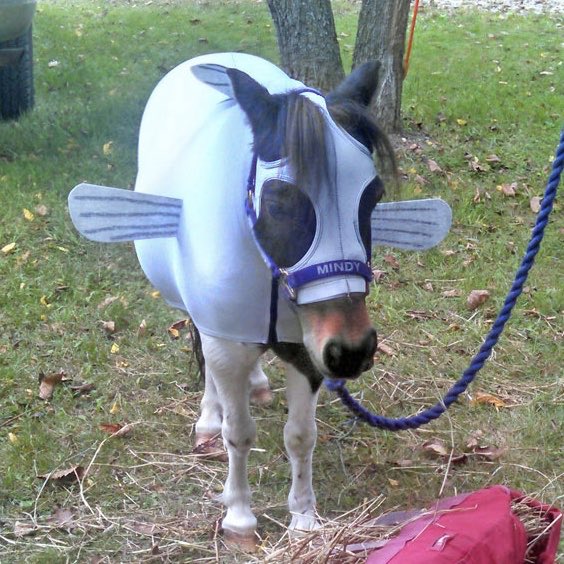 acisaur's tweet image. 