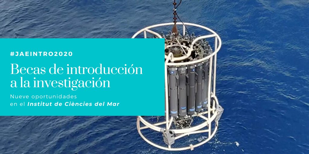 ICMCSIC's tweet photo. ¿Quieres dedicarte a la investigación marina? 
Aún estás a tiempo de solicitar las becas #JAEIntro2020.

Estas son nuestras propuestas de formación: https://t.co/XgK7oSfanS https://t.co/gz8mxmx24s