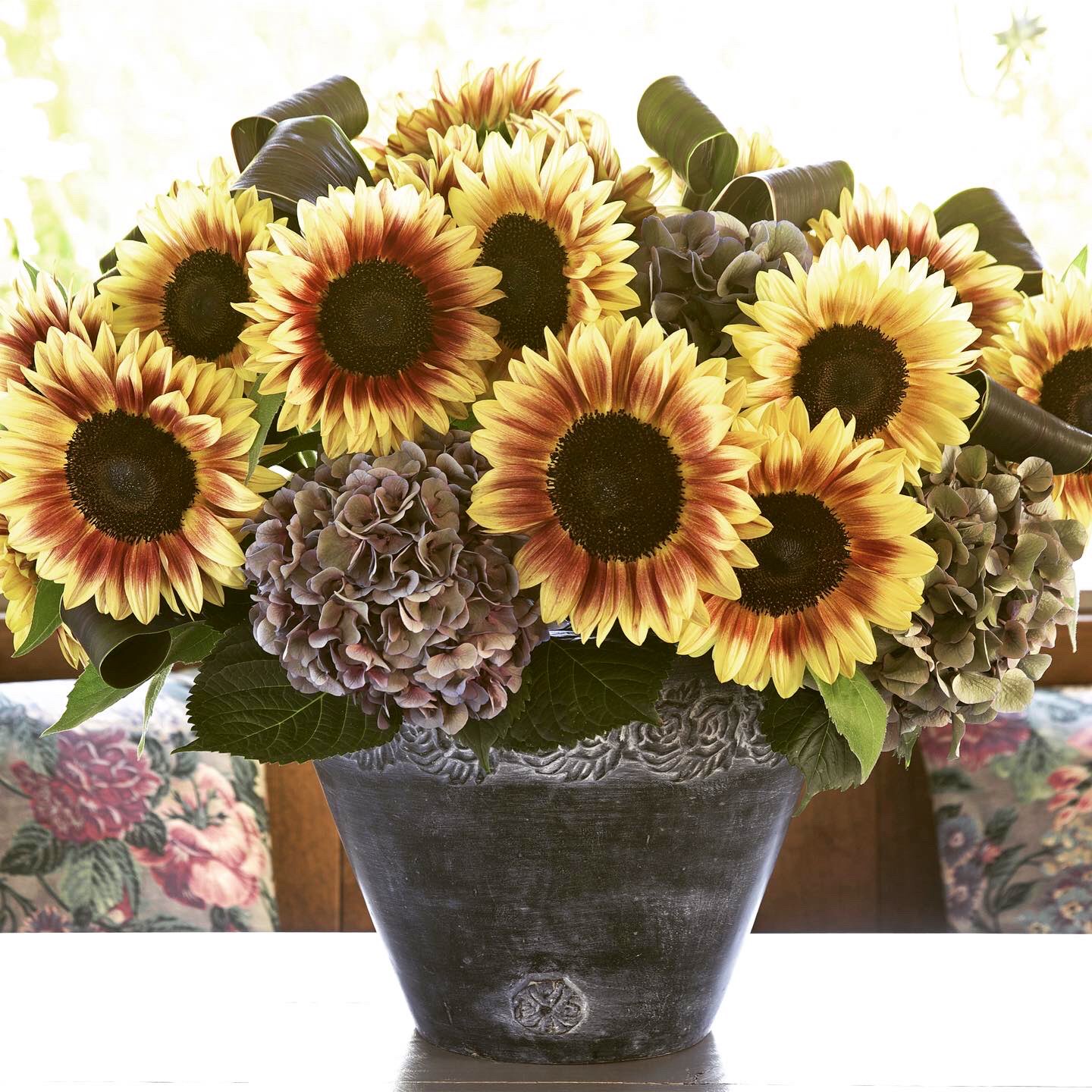 公式 タキイ種苗株式会社 タネのタキイ ひまわり サンリッチ ライチld 無花粉で切り花に向く 人気のサンリッチ ひまわりの ユニークカラー品種 バイカラーで濃淡のある花色です 長日開花性という 特徴もあります Ld Long Day タキイ タネの