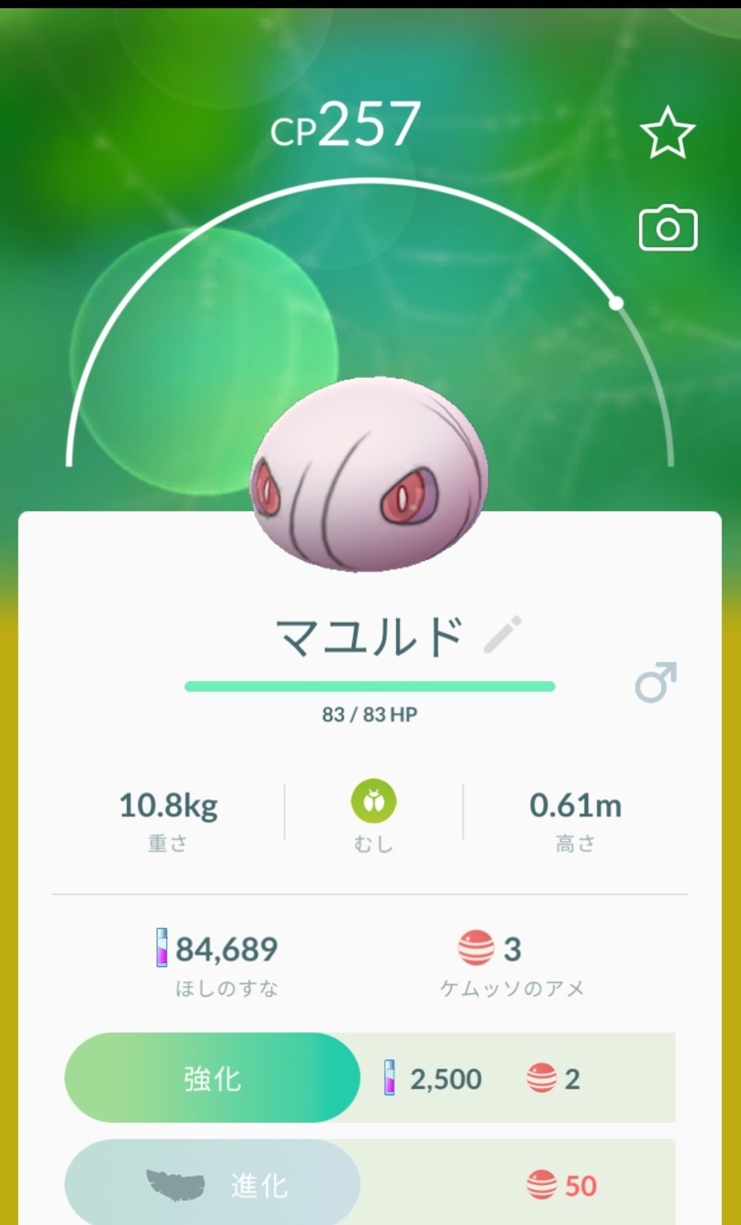 ケムッソ進化 Twitter Search Twitter