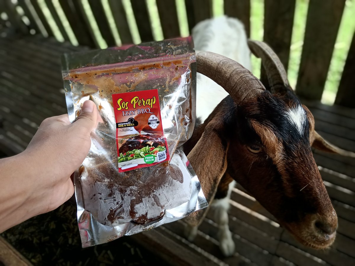 _kuroganetmr_'s tweet photo. okay sesape nak kambing perap boleh roger2 cod area pd rembau.
satu bekas rm35. 3 bekas rm100. satu bekas ada 5 slice beserta sos. berat keseluruhan 1 kilo. sos boleh digunakan semula utk memerap ayam itik dan angsa. kualiti terjamin. pekat dan memikat. confirm jilat jari bah jo. https://t.co/KngeweVTGv