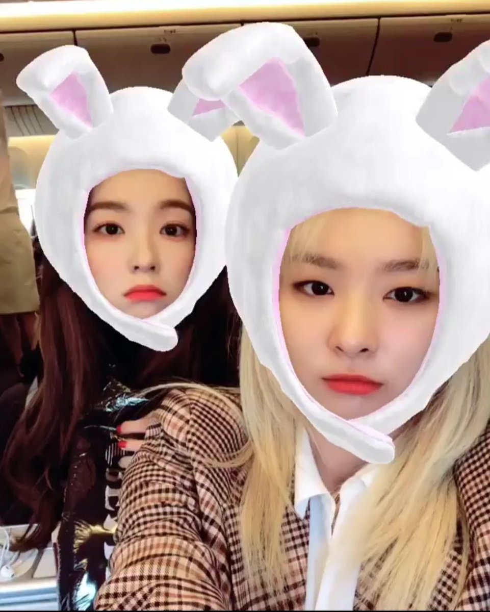 alvolo43's tweet photo. 🐰                                        🐻 https://t.co/DLxd33mjMo
