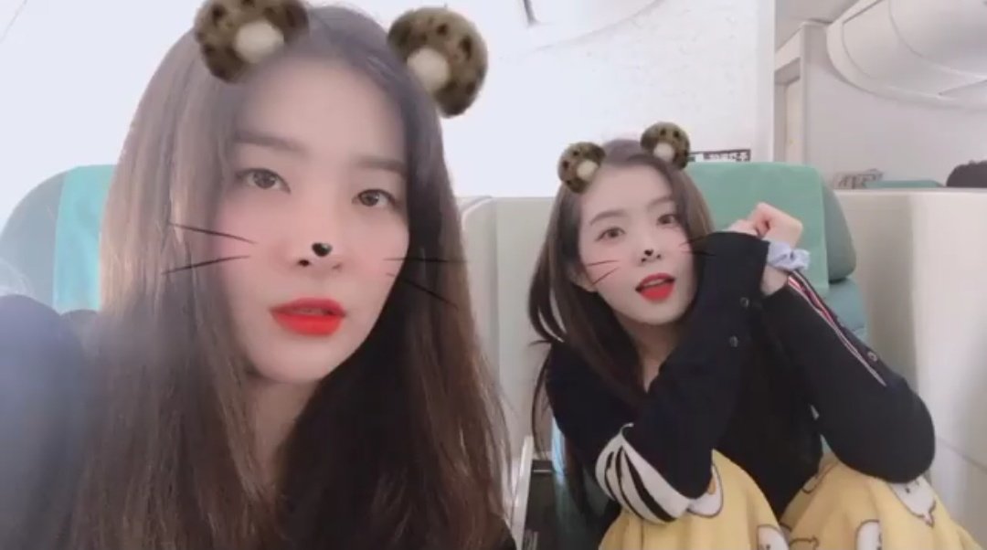 alvolo43's tweet photo. 🐰                                        🐻 https://t.co/DLxd33mjMo