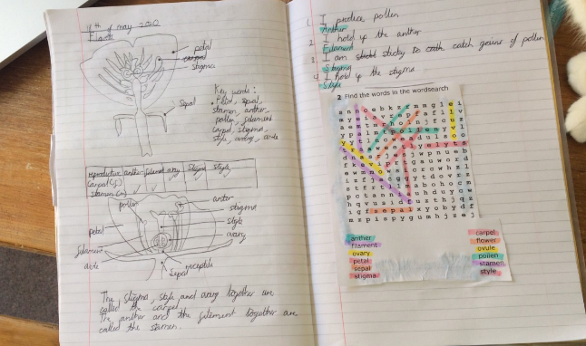 So so impressed by this piece of home learning by Allegra, year 7 which was already complete by 8.43am on Monday. It's hard to beat that for student dedication. Well done Allegra! <a href="/mrfrankish/">MrFrankish 🥽🧪🔬🧫 ⚗</a> @TLatTMCS @tmcsjanzan @TimSmithCEO