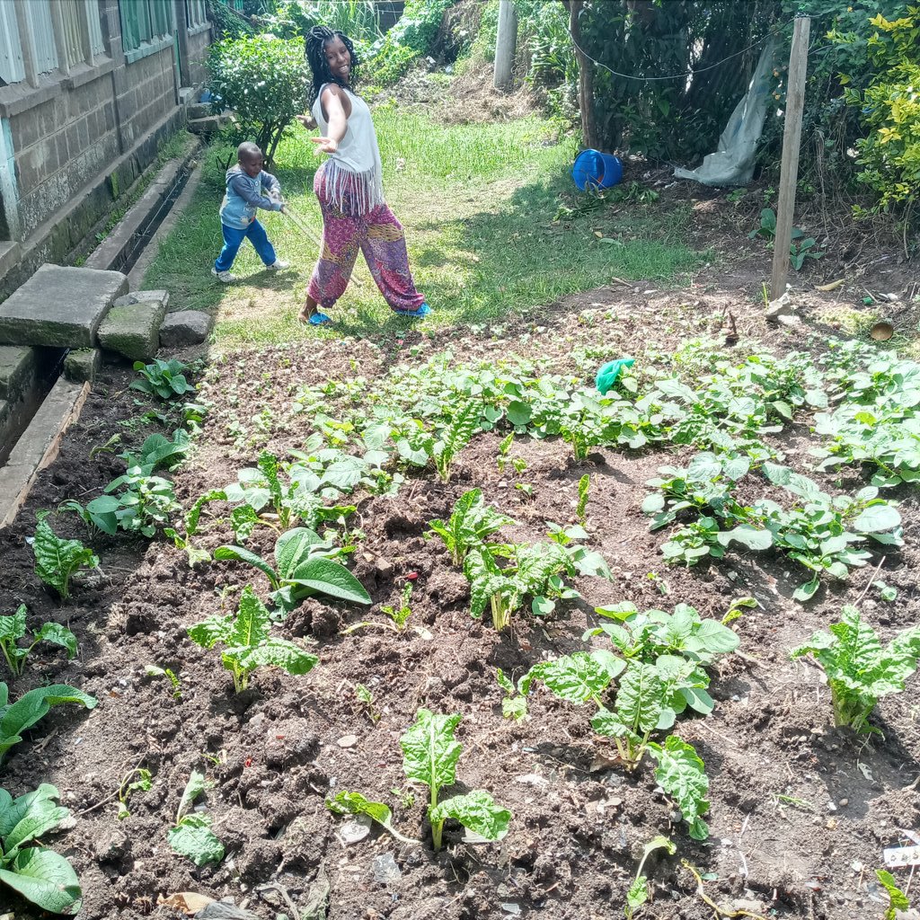 valleryogutu's tweet photo. Oooh my garden Is now ready😇😇.
@KenyaPoetrySlam
#myclimatestand https://t.co/gXbsbBdDTN