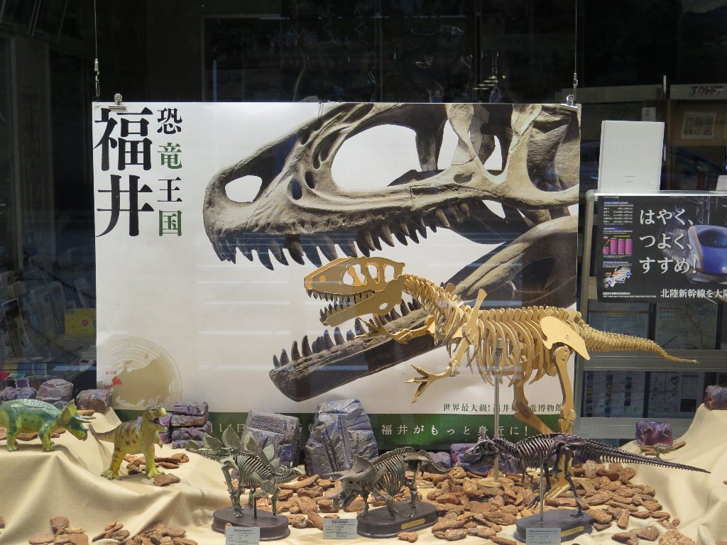 福井県大阪事務所 در توییتر 事務所のディスプレイを恐竜バージョンにしました 恐竜の骨格模型などを展示しております 日本一の恐竜化石発掘量を誇る福井県 世界最大級の恐竜博物館もあります コロナが収束したら ぜひ福井県立恐竜博物館に遊びに来てください