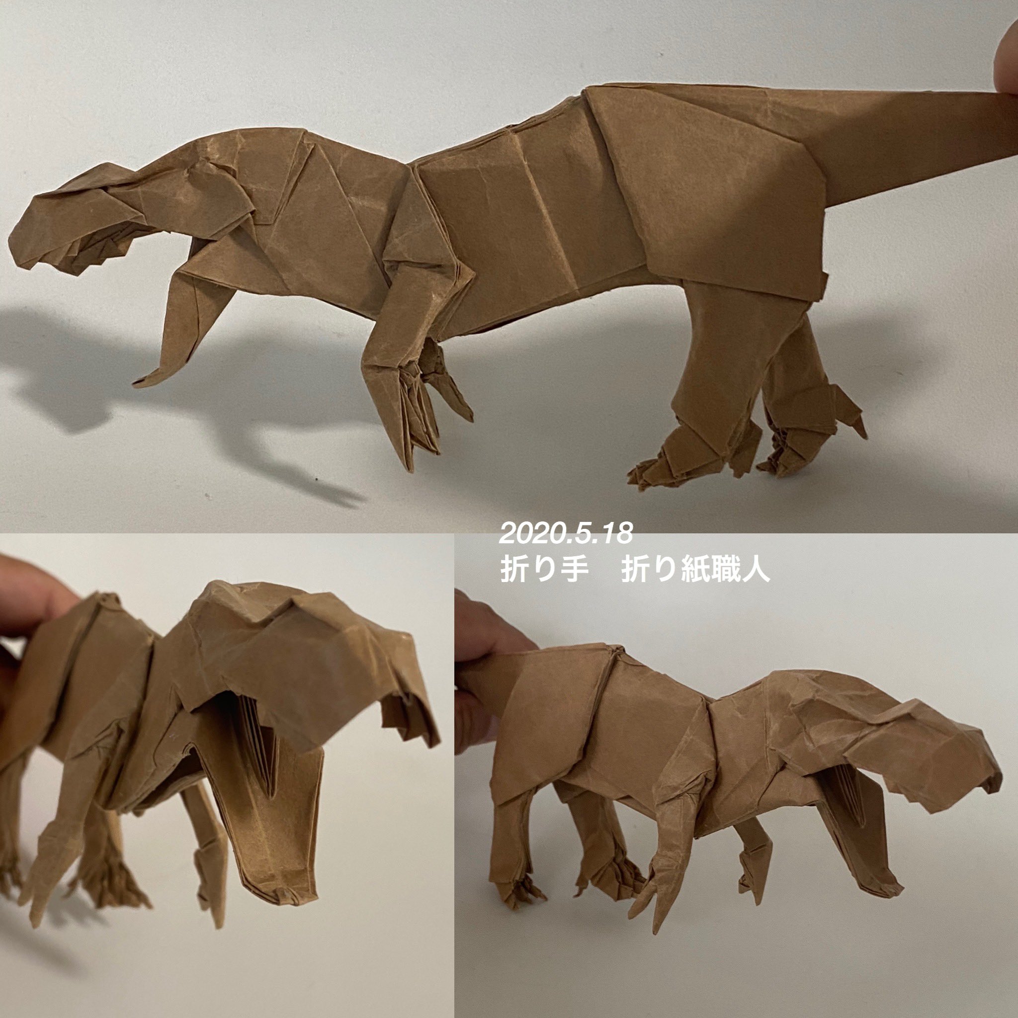 折り紙職人 合谷哲哉 Gotani Tetsuya さんの ティラノサウルス Tyrannosaurus 50x50 Ikeaのクラフト包装紙使用 めちゃくちゃカッコイイです 多分 今まで折ったティラノサウルスの中では一番好きかも 折り紙作品 ティラノサウルス 合谷哲哉