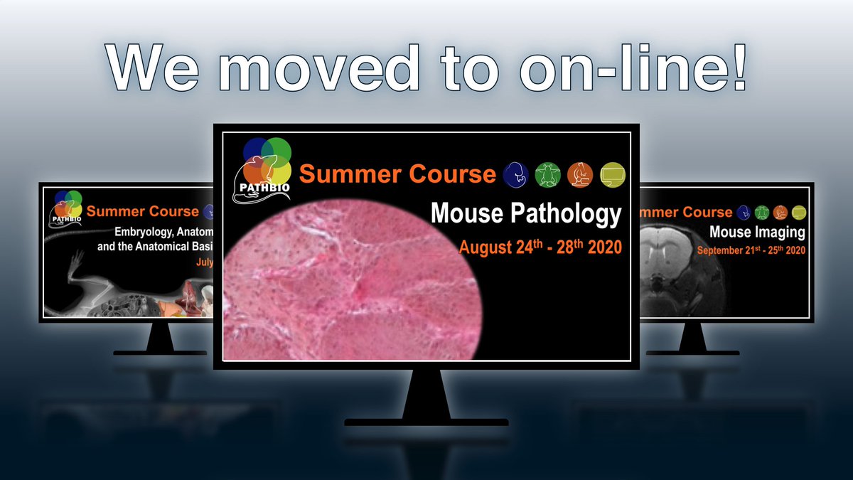 Want to improve your Mouse Phenotyping skills with the best experts in the field?

On August 24th starts the 2nd of the 3 PATHBIO Summer Courses, devoted to Mouse Pathology.

For more info: pathbio.org