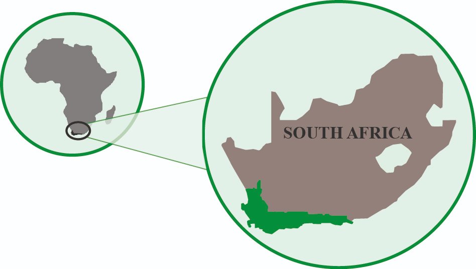 Mario_Mairal's tweet photo. This is the smallest of the 6 floral kingdoms (tiny!), but homes one of the world´s richest floras.

⚠️In just 90.000 km2 (about 2 Hollands) - up to 9000 plant species: 2/3 of them found nowhere else on Earth.

🔴In Table Mountain, there are as many species as in whole UK https://t.co/i0MzcZIzvC