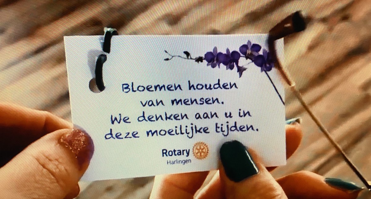 #Rotary Corona Actie Nieuws, aflevering 50: Rotaryclub Harlingen bracht orchideeën naar mensen in zorginstellingen. Omrop Fryslan maakte er een video van. #PeopleofAction 
Kijk hier: omropfryslan.nl/nieuws/951510-…
