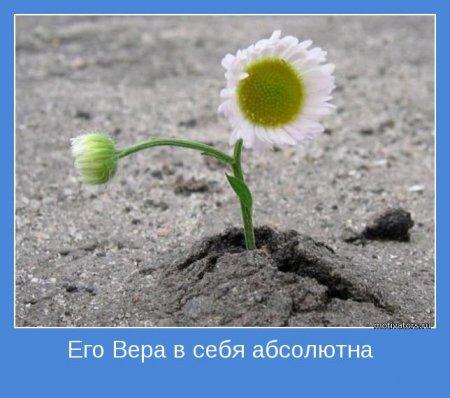 #мудрость