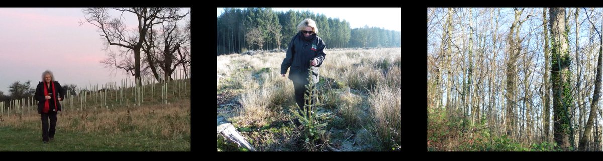 AnneatSaveMe's tweet image. This will be a safe place for all creatures Our plan is to evolve better ways of Husbandry of the woodland, more humane, with no Culling, no pesticides no herbicides, and of course no hunting for pleasure. Dr Brian May Save Me Trust
