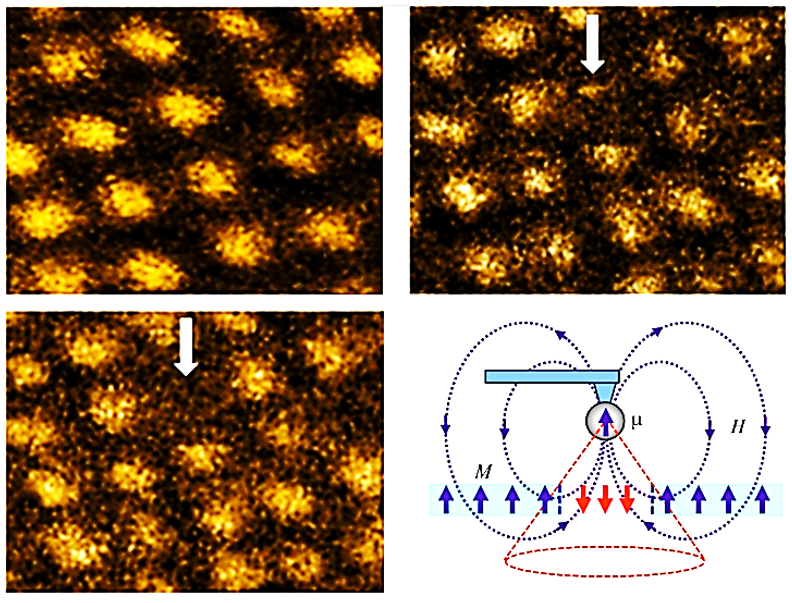 NTMDT's tweet photo. Impact of the Field of a Magnetic Force Microscope Probe on the Skyrmion State in a Modified Co/Pt Film with Perpendicular Anisotropy
https://t.co/egteghcg4r
.
.
#NTMDT #IPMRAS #MagneticForceMicroscopy #Skyrmion #Nanotechnology #AFM #НТМДТ #ИФМРАН #ННовгород #NNovgorod #Science https://t.co/dVQFRC4dsp