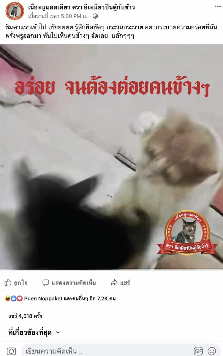 คือผมน่ะ tweet media