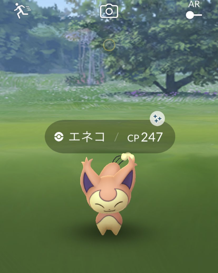 色違い エネコみんなはゲットできた エネコロロ美人すぎる みんなのポケgo みんポケ 色違い エネコみんなはゲットできた エネコロロ美人すぎる みんなのポケgo みんポケ