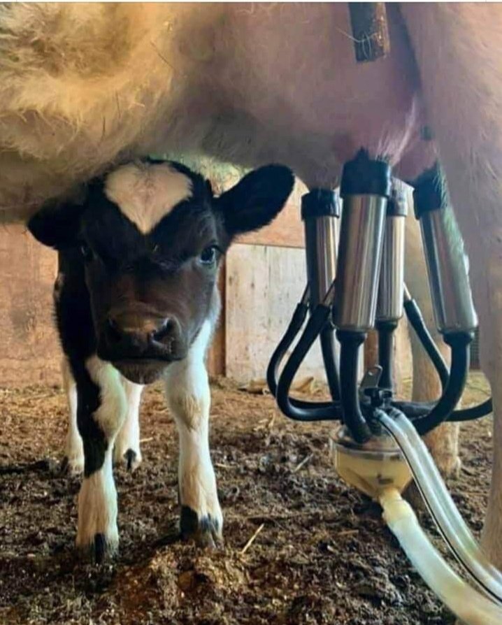 ipspankajnain's tweet photo. ये खेल नही था किस्मत का,
ये चालाकी थी इंसानो की । https://t.co/l17KU9vv2c