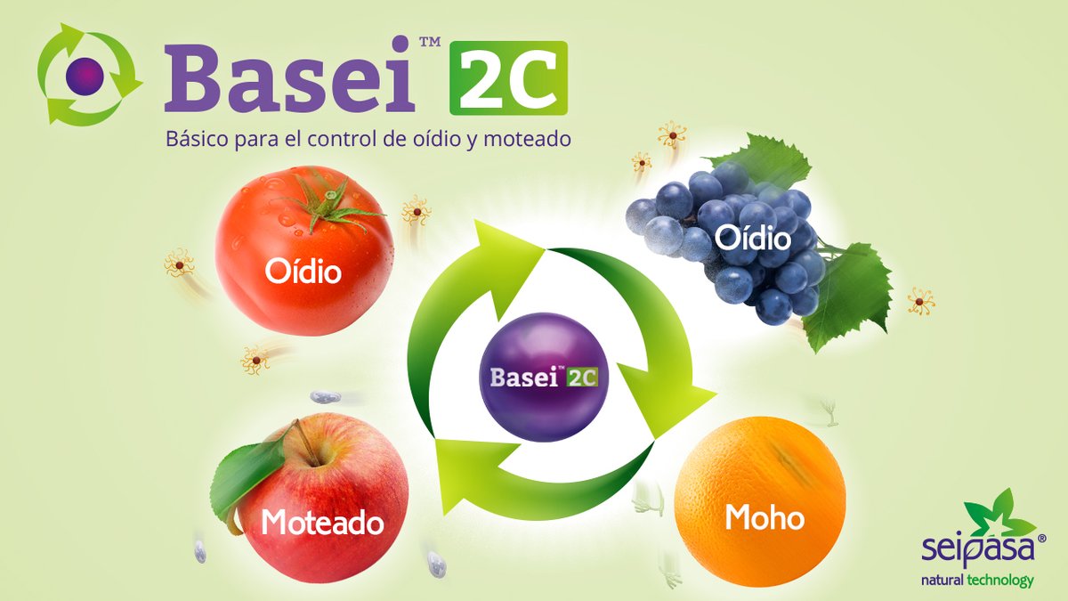 seipasa's tweet photo. Basei 2C es el #biofungicida de Seipasa para el control de #oídio y #moteado:
🛡️ Acción preventiva y curativa.
🔝 Máxima eficacia. Sin plazo de seguridad.
🍷 No interfiere en la vinificación.
Conoce más en nuestra web: https://t.co/u9j0OQKxQu
#Seipasa #NaturalTechnology https://t.co/9lwIXeF4NB