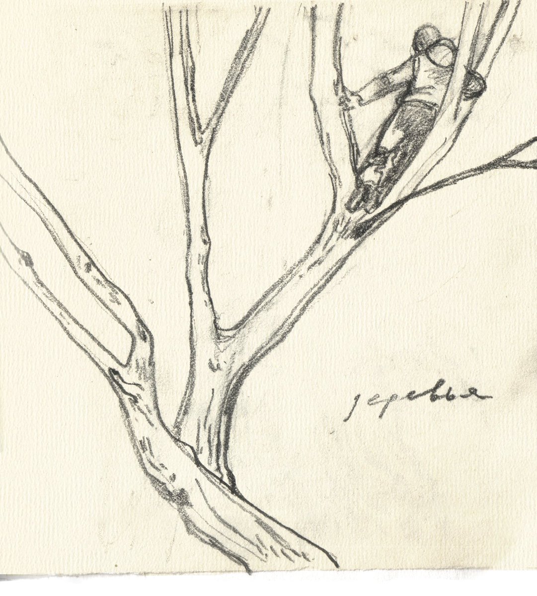 the tree lover 