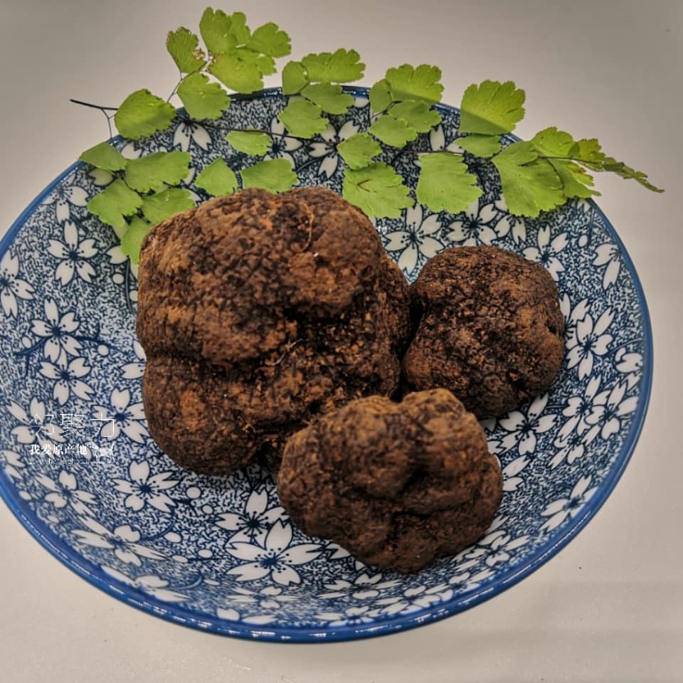 chinesetruffles's tweet photo. #macauchef #dubaichef #shanghailife #shanghaichef #chinachef #hkchef #bangkokchef #nychef #beijingchef #chefstable #trufflehk #mumbaichef #michelinguide #michelinstarchef #frenchrestaurant #italianrestaurant #spanishrestaurant https://t.co/5bvwz8ySuq