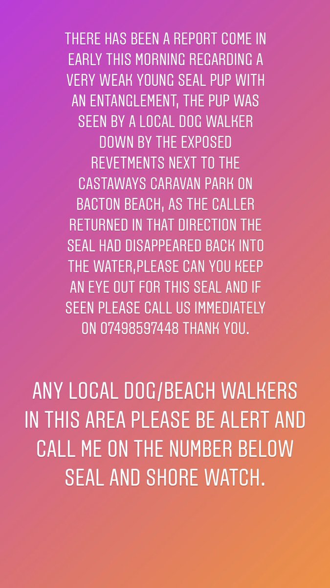 Can all local Dog/Beach Walkers please keep an eye out for this Young Seal Pup.