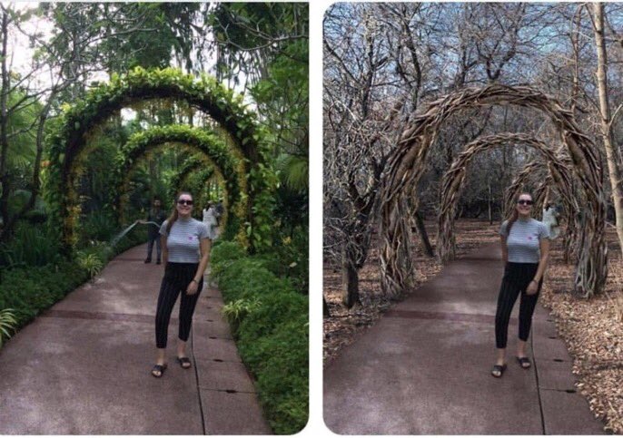 Le dieron una buena lección a la mujer que dijo: "¿Puedes quitar al jardinero de la foto?"