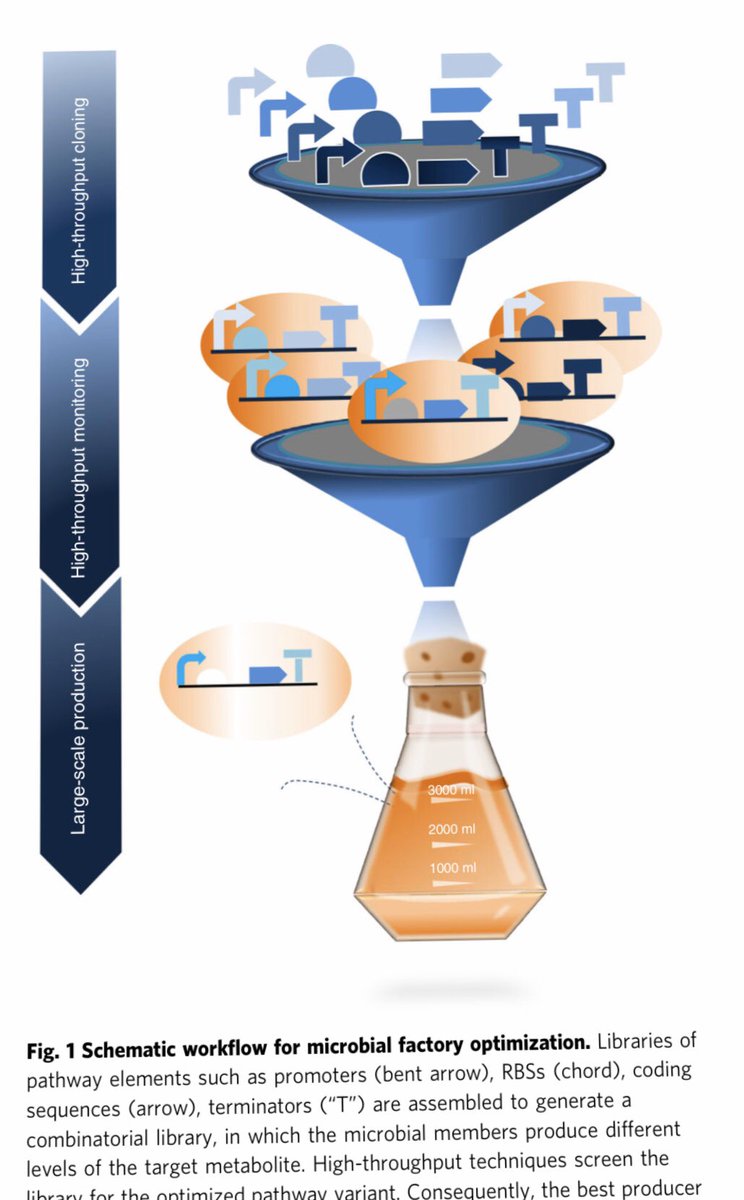 Leonardo Rios tweet media