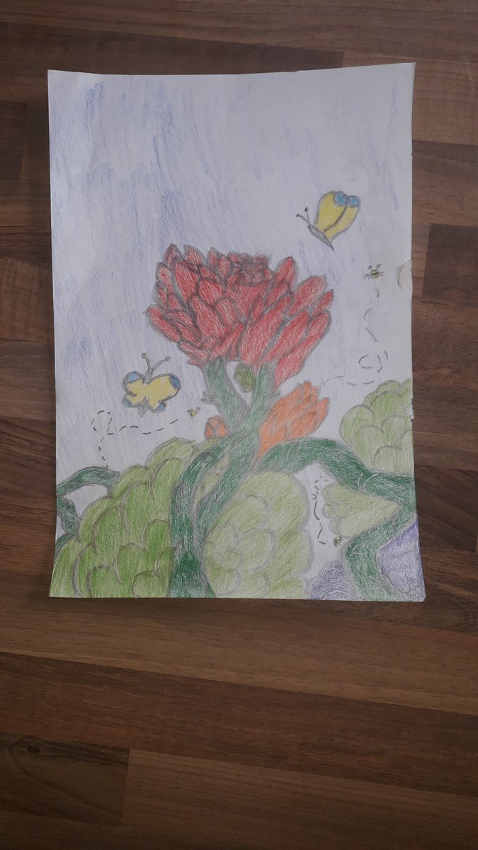 stlaurencecoll2's tweet image. Oisin in 3A created these butterflies fluttering around a rose for Jessica in 2B. Did you know that butterflies taste with their feet and see a whole range of ultraviolet colours invisible to the human eye. #Butterflies #Letsflutter #Ultraviolet #NationalDrawingDay