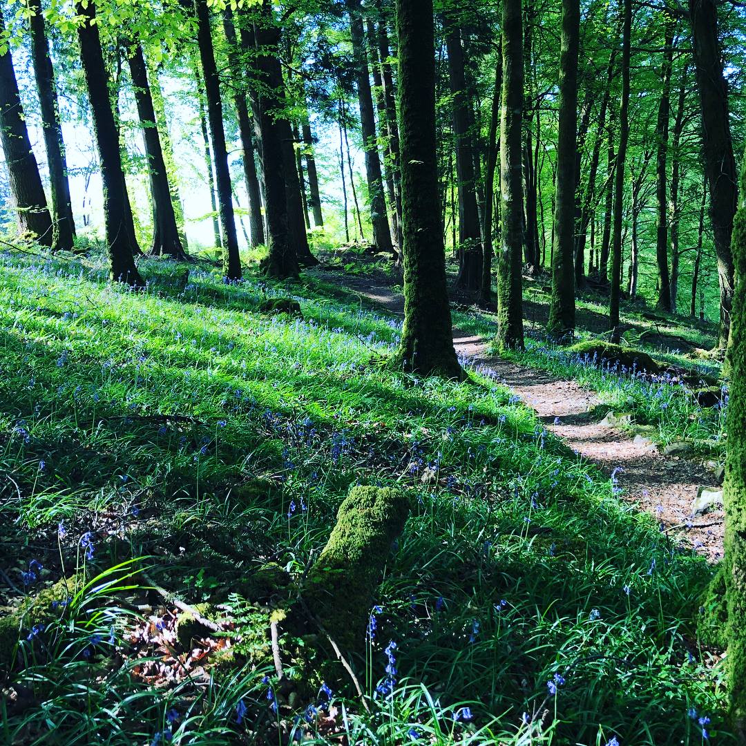 Throwback to May 2019 and the beauty of Coed y Brenin. Stay safe and stay positive - we will be back! ❤️🏴󠁧󠁢󠁷󠁬󠁳󠁿😎
.
#cadwchynsaff #runcoedybrenin