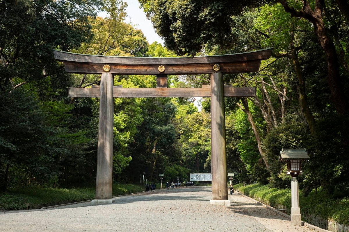 In celebration of #IMD2020 let's get in the #spiritoftravel and go on an adventure to the Meiji Jingu Forest in Japan. g.co/arts/QZyYJWgkJ…