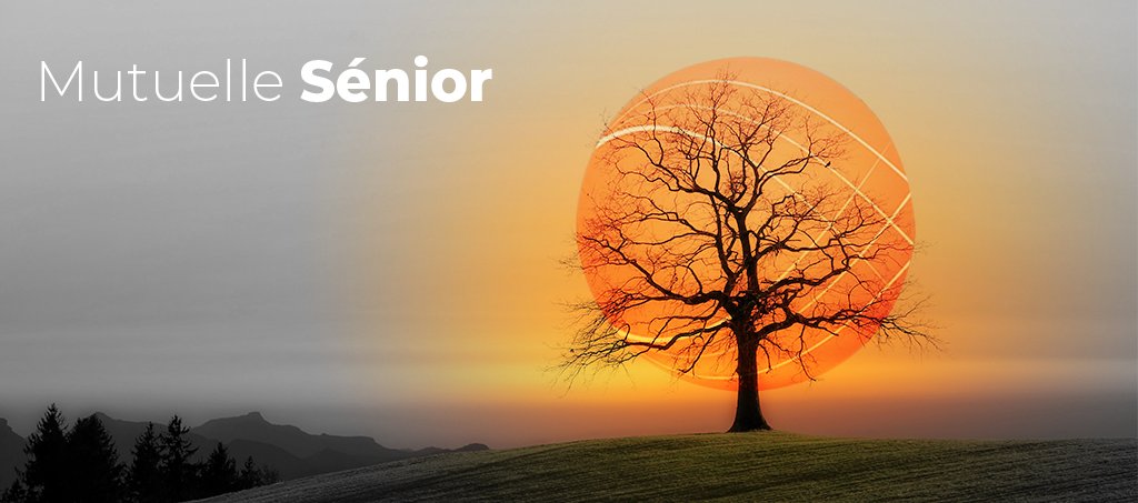 convert_trade's tweet image. Pour gérer sereinement votre #mutuelle #senior, faites appel aux équipes expérimentées de #ConvertTrade.
Demandez un devis gratuit dès maintenant.
👉 convert-trade.com/nos-solutions
#convertlife #prestataire #mutuelles #retraite