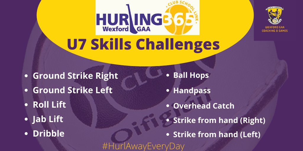 Hurling365 tweet media