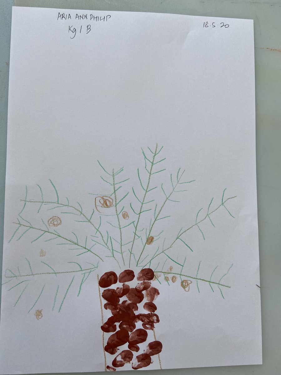 Aria by nature loves any sort of craft form. This was an amazing activity for increasing pencil grip and writing confidence. Aria’s “Date Palm” ⁦<a href="/26Dakshamehta/">Daksha</a>⁩ ⁦<a href="/KNargish/">Nargish Khambatta</a>⁩ ⁦⁦<a href="/kg_gma/">GMAKG</a>⁩ ⁦<a href="/DxbModern/">GEMS Modern Academy</a>⁩ ⁦<a href="/senresh/">Reshma Borkar Fernandez</a>⁩