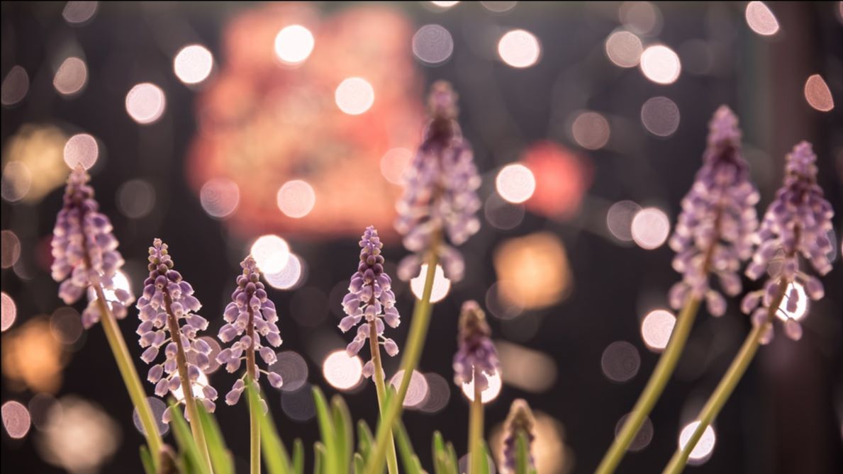 For Mental Health Awareness Week, we are delivering a Free Webinar about "Understanding Resilience". You can find more here - mailchi.mp/c6747d3f54c7/u…