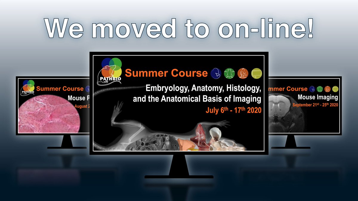 Want to improve your Mouse Phenotyping skills with the best experts in the field?

On July 6th starts the 1st of the 3 On-line PATHBIO Summer Courses, devoted to Mouse Embryology, Anatomy, Histology and the Anatomical Basis of Imaging.

For more info: pathbio.org