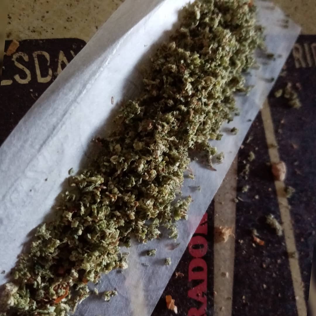 AlsonJones's tweet photo. #weedmaps #theweedtube #gasways #dcweedevents #pillsbury #weedporn #marijuananews #weedtweets #weedconnection.com #marijuanapolicyproject #medicalmarijuana #marijuanastokes #marijuanabeginner #marijuanabusinessdaily #norml  #weedgirls #maryjane #sativa #life #420memes https://t.co/sAquk6ht7b